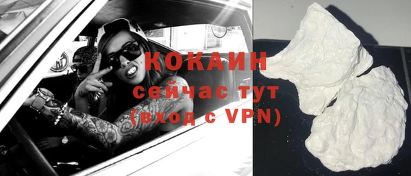 индика Надым